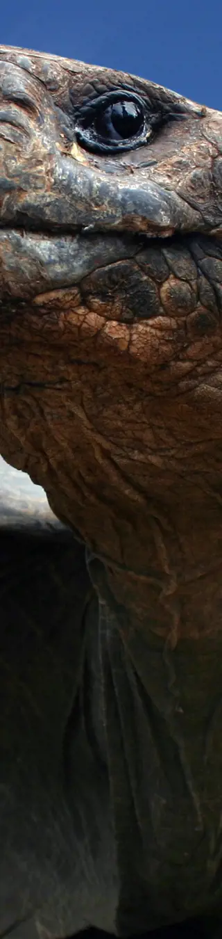 Auf Darwins Spuren auf den Galapagos Inseln